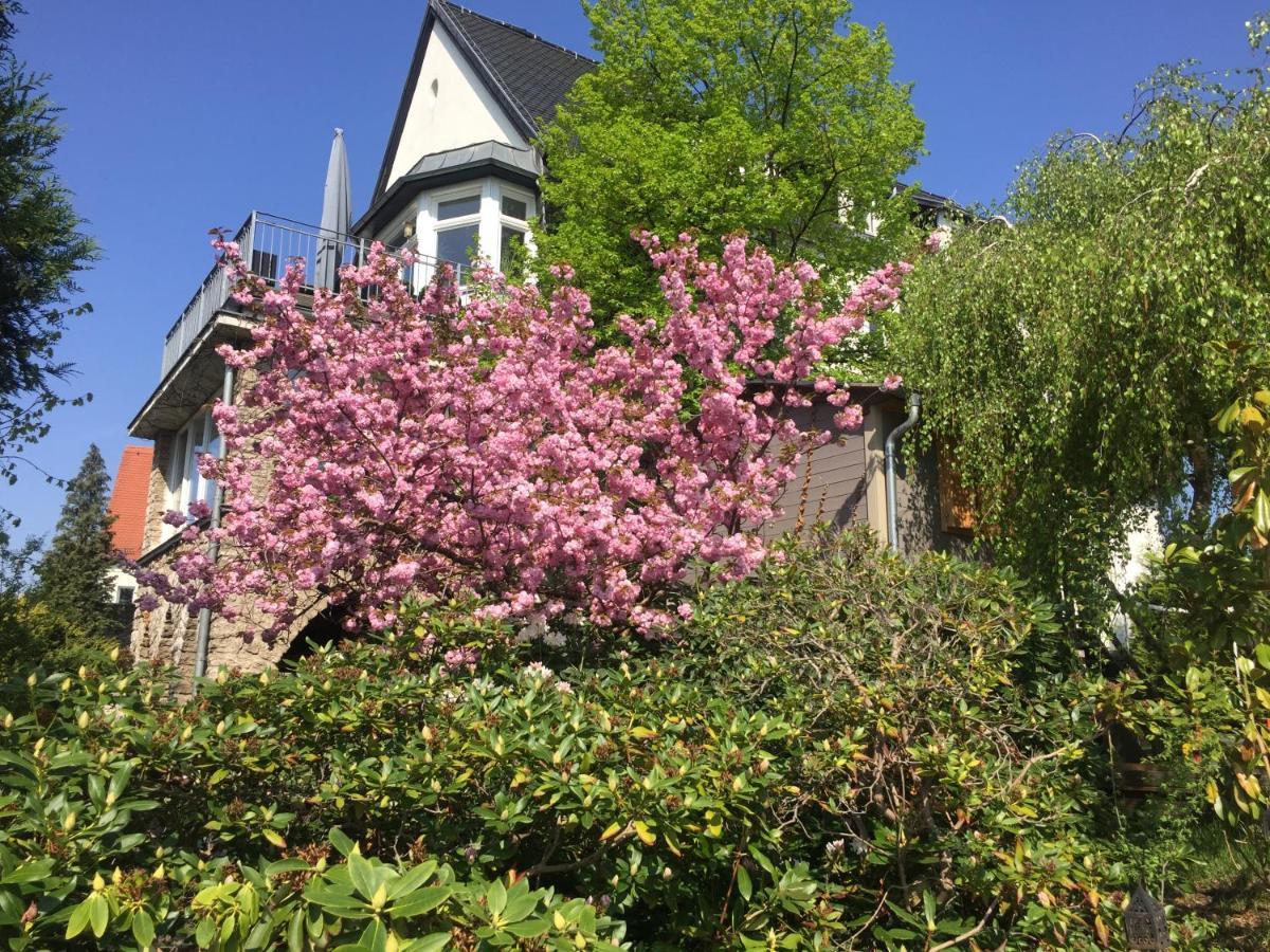 Ferienwohnung Burkhardt Meißen Exterior foto